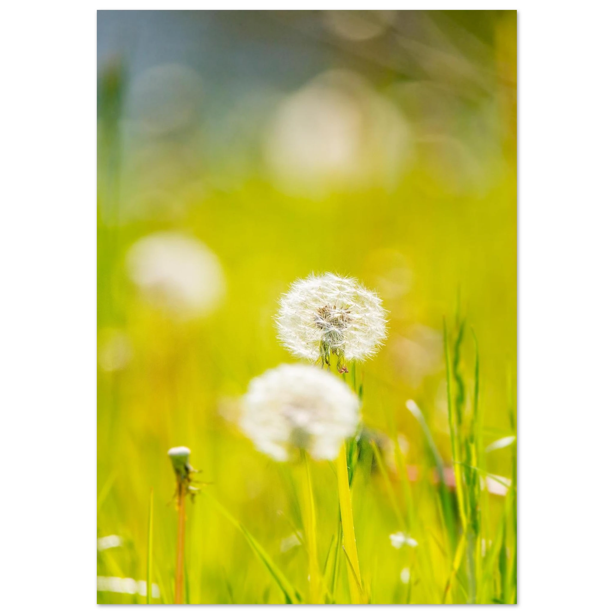 f99056b2-27f8-40b6-9030-2a3489b34e29