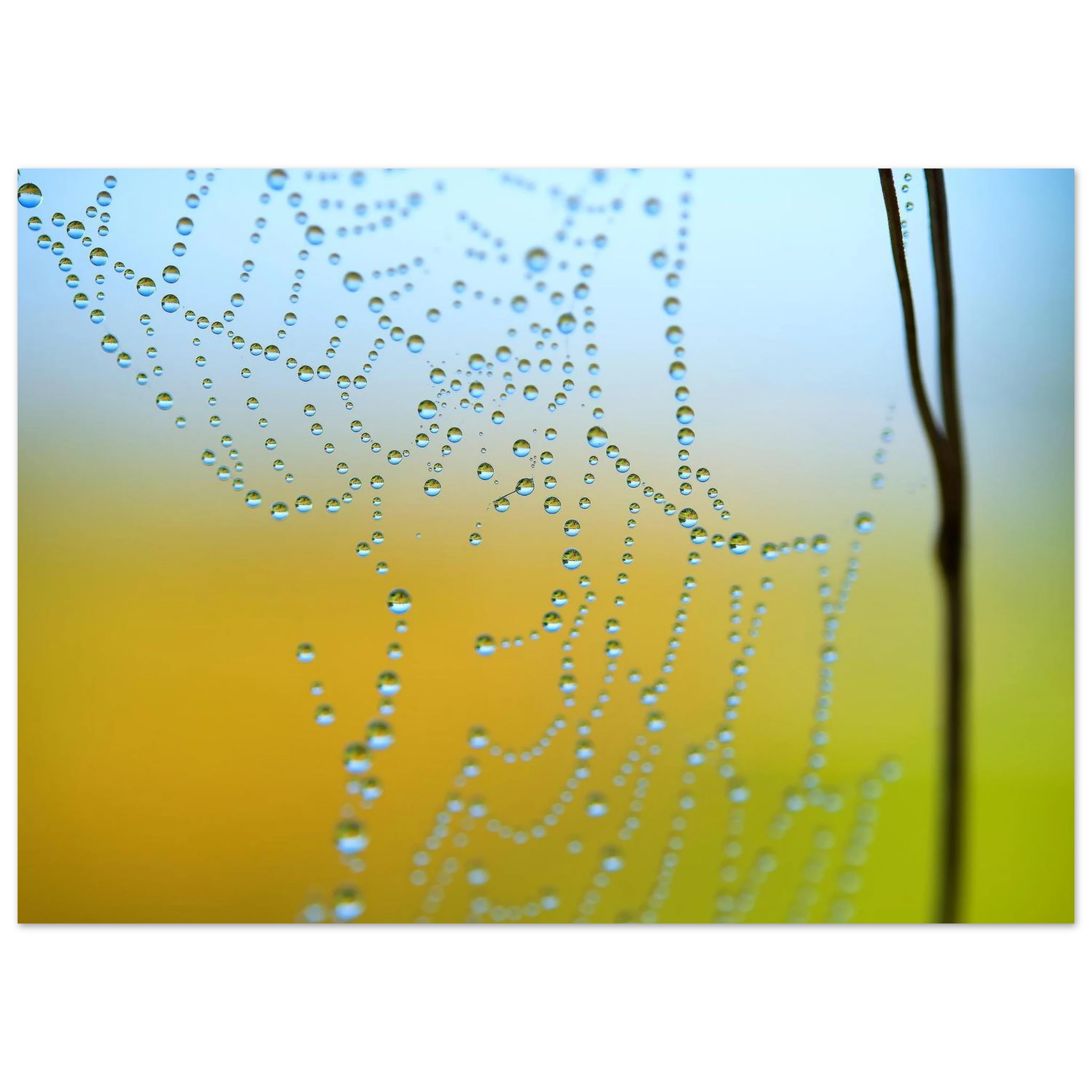 f9a5ccd4-23f8-4318-ac9d-9d62cf070c37