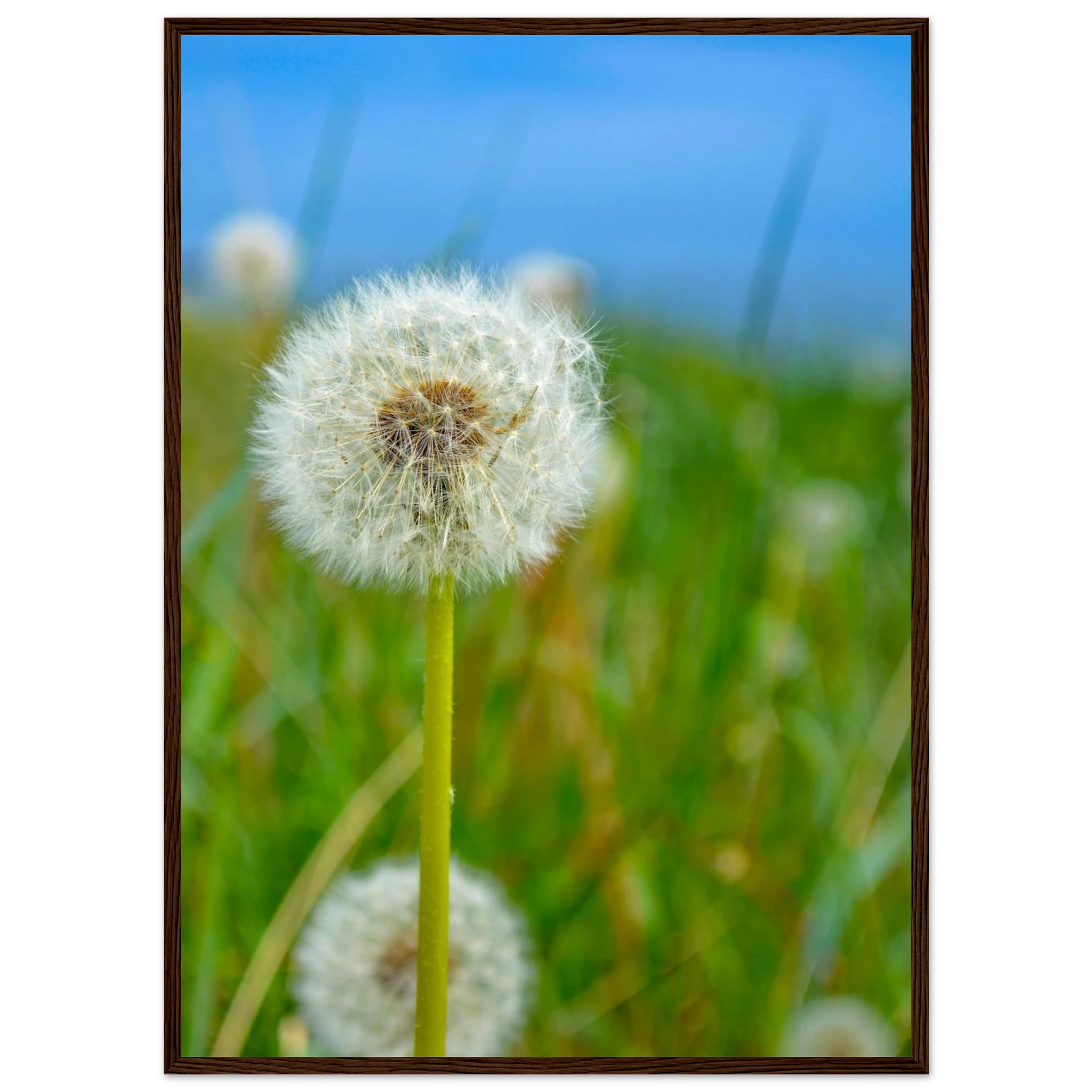 fa3ca56b-8d37-48e3-bea7-eae05a8088e6