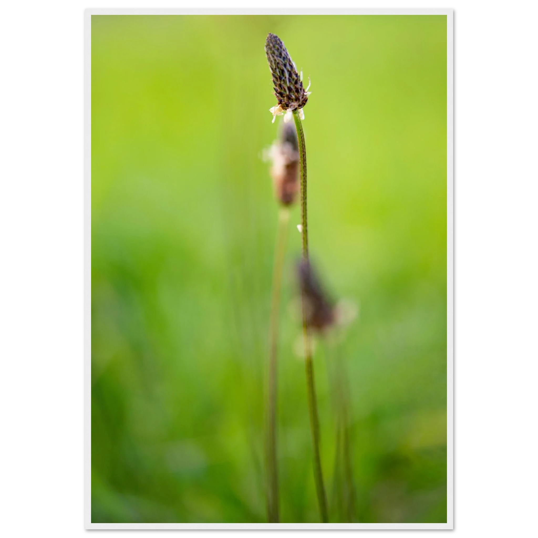 fabbda7e-d8d7-4592-af9e-18a49e735957