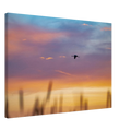 fb47566a-bd46-4f23-baab-373df5beb647