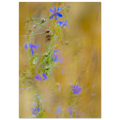 fd24cb2a-eb04-4b27-a70f-d1059175f604