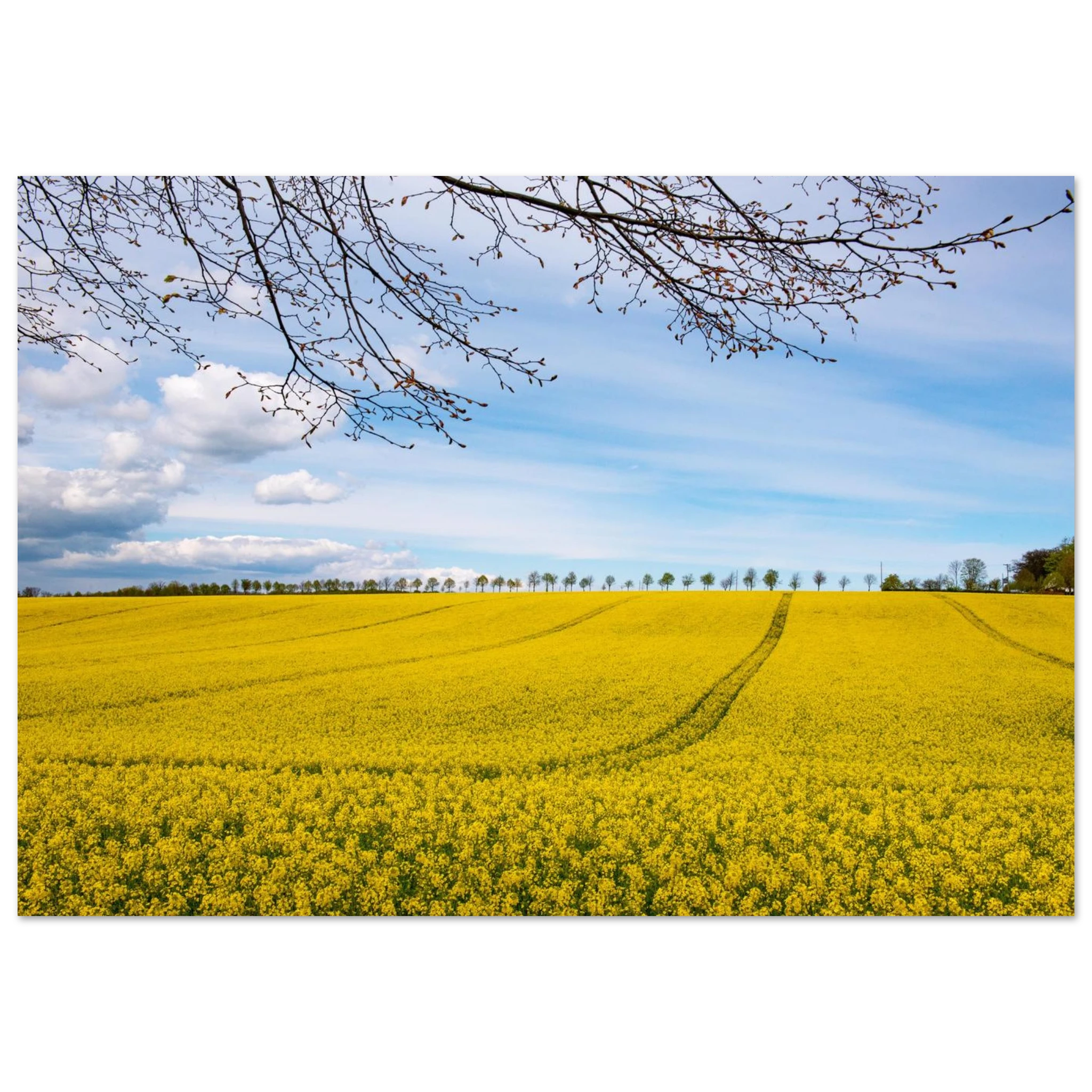fdd6ff3f-6996-41d5-bc7a-7db898feb4b9
