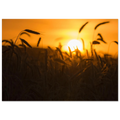 ff7694c8-aae9-4331-b11d-9c105b647c69