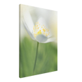 ff8da184-ad2d-47cf-bcfa-e1c7b8df8d9b