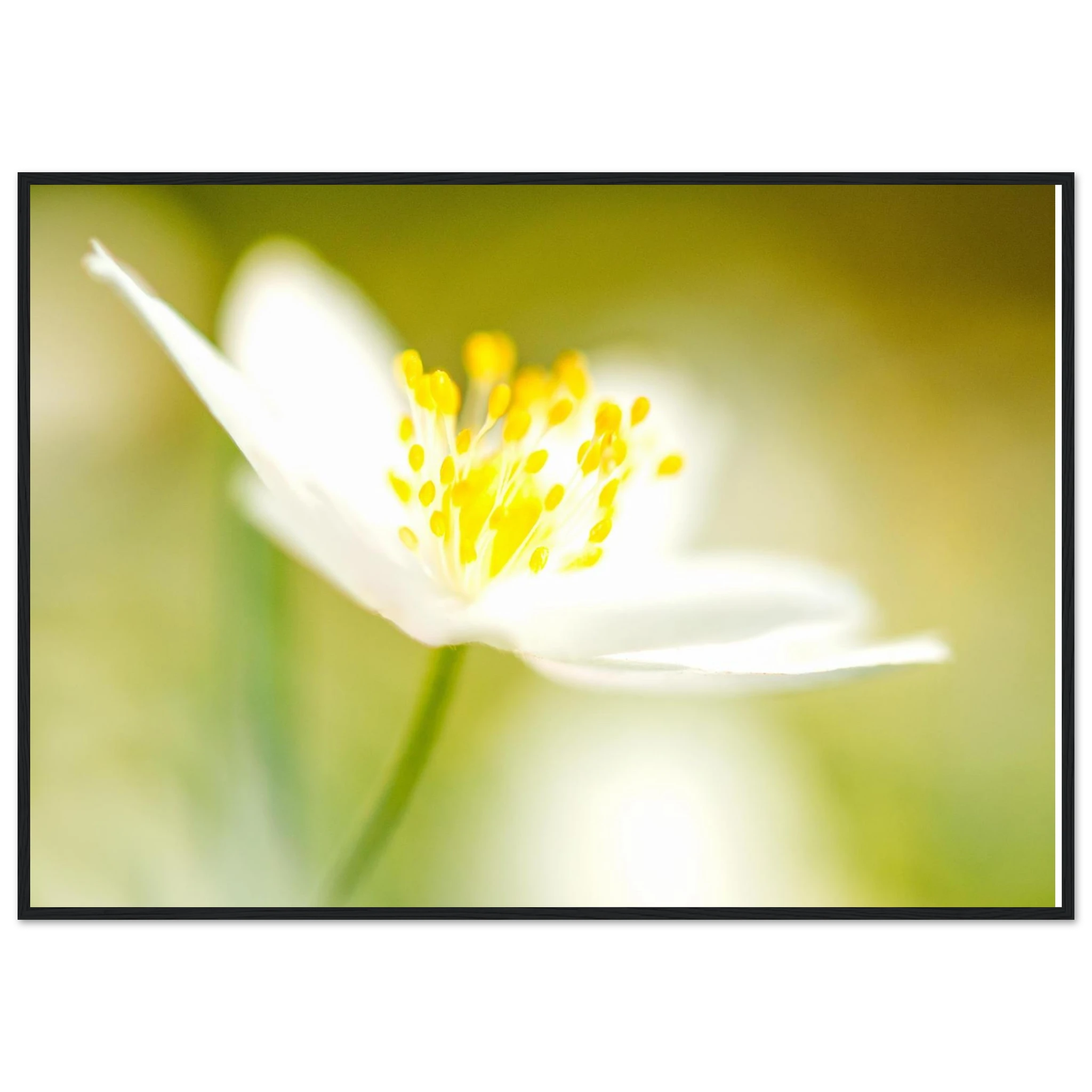 ff8fd565-b51c-4995-b0c6-99c90e6d00bb