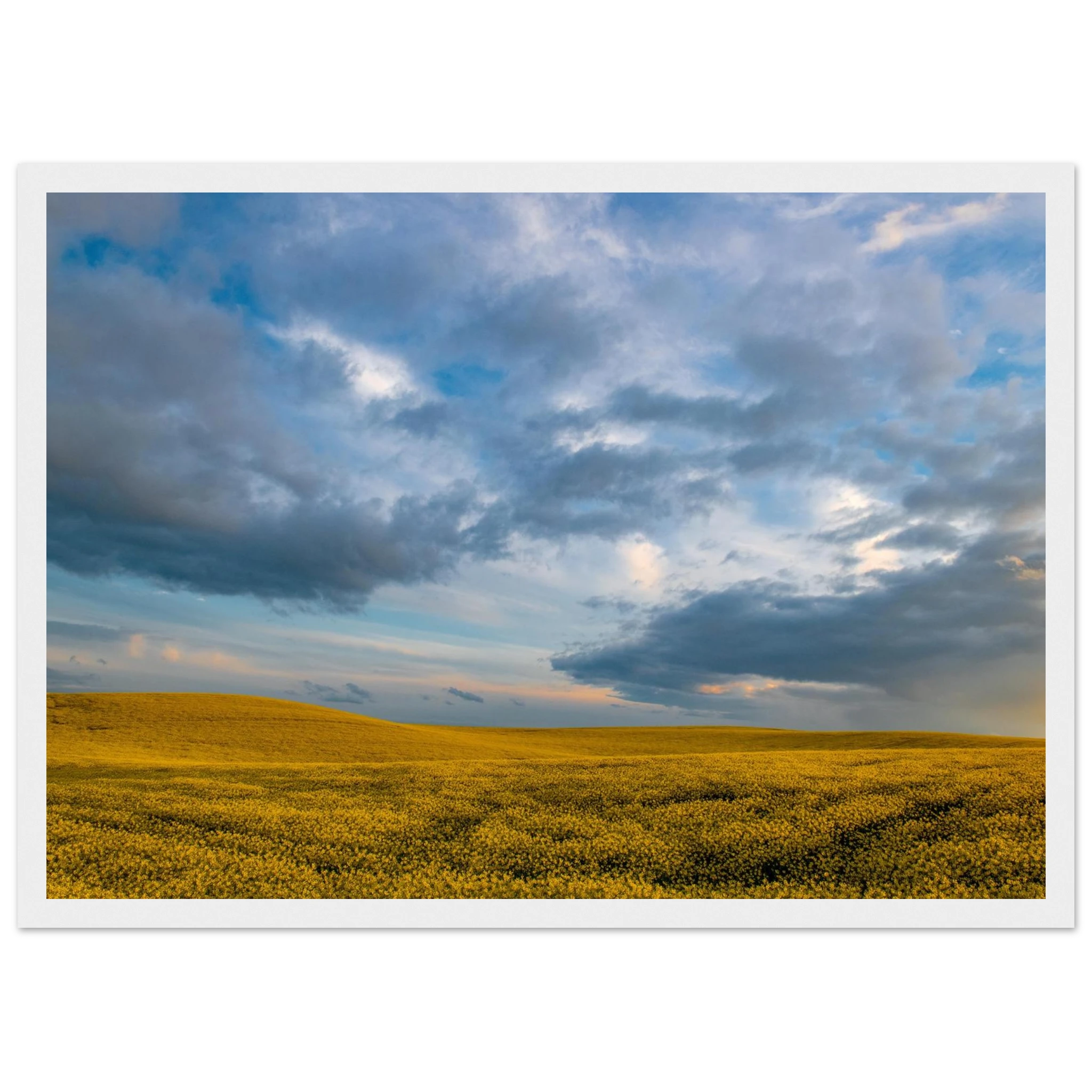 ffae4496-fd3b-43e8-8bb4-3adeb4e1025f