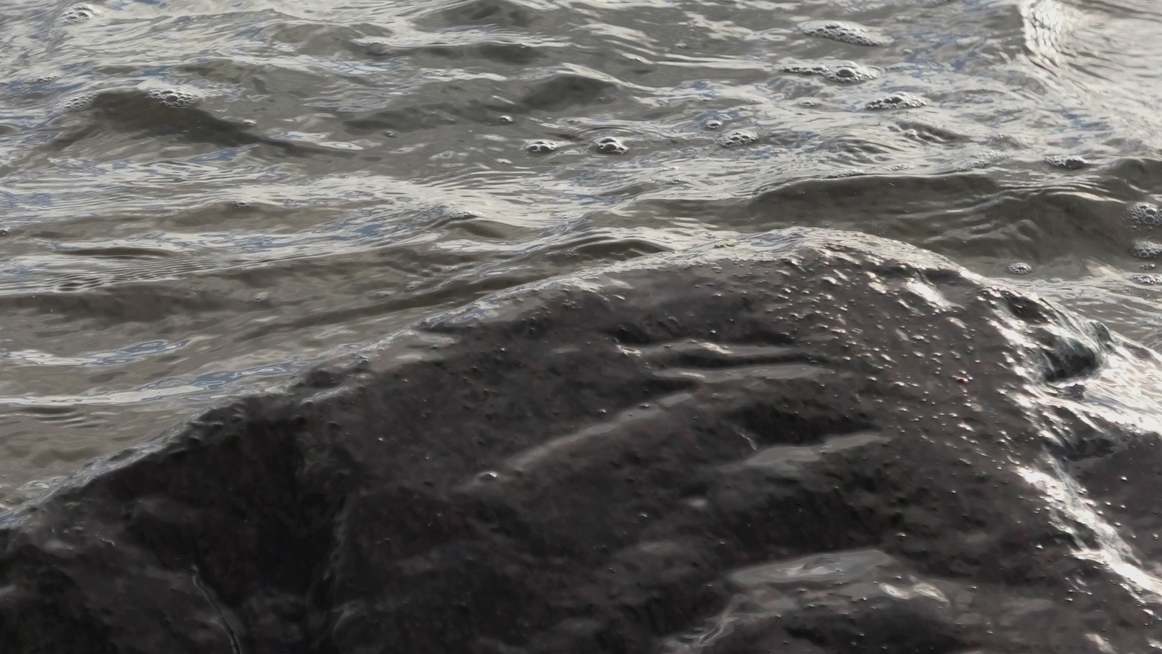 A Sea of a Thousand Faces 5 - Life is Love